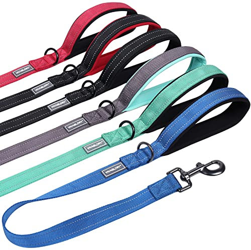 VIVAGLORY Kurzführer Hund Hundeleine Kurz Kurze Leine Hund Nylonleine Hundeleine Mittelgroße Große Hunde Kurzführer Hund Metallclip Hundeleine mit Kurzführer, 61 cm Länge 2,5 cm Breite, Blau