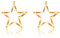 ZOMKIFA 2 PCS Luminosa Stella Natale Luminosa, LED Stella di Natale Illuminazione, Finestre Luci Decorative, Bianco Caldo, per Ramadan Natale Nozze Giardino Decorazione Ramadan