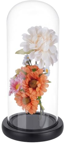 UNICRAFTALE 27cm Tall Clear Cloche Glass Dome with Black Base Handmade Glass Cloche Antique Collectibles Decorative Bell Jar for Succulents Plants Medals Photos Fairy Lights Table Decor