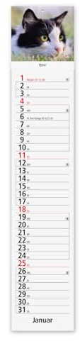 Timr Streifenkalender 2026 Küchenkalender schmal - Katze - tr412 | Kalender 61 cm lang, mit Landschaften Motiven, zum Termine eintragen