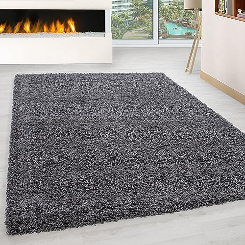 KADIMA DESIGN Kuschelteppich Hochflor Einfarbig Uni Weich Flauschig Waschbar Strapazierfähig Grau 60x110 cm Wohnzimmer Fußbodenheizung geeignet Schadstoffgeprüft | RHEIN