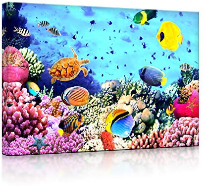 lightbox multicolor | Bilder mit LED Beleuchtung | Bunte Fische über Korallenriff | 100x70 cm | Fully Lighted
