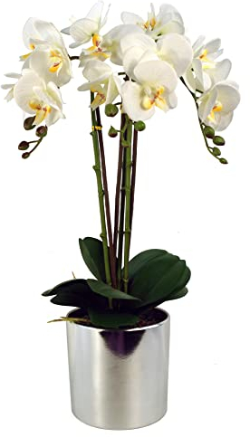 Leaf Design UK Realistic Artificial Orchid Flower Display in Pot,White Silver,52cm