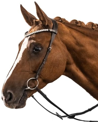 BRIDLERY Trense Leave Farbe Schwarz, Größe Warmblut