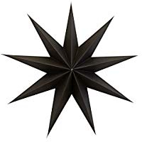 House Doctor Weihnachtsstern Star Braun (45cm) (9-er)