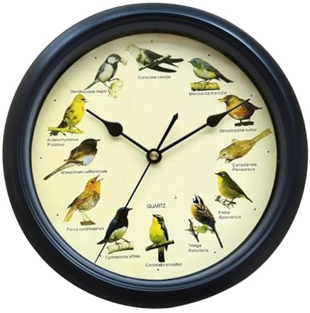 Baoblaze Musikalische Vögel-Wanduhr mit Klang, Raumdekoration, dekorativ, vielseitig, batteriebetrieben, für Schlafzimmer, Büro, Einweihungsgeschenk, Schwarz 25cm