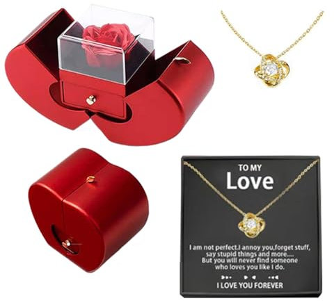 GjnjfdF Preserved Rose with Necklace, Eternal Flower with Necklace, Romantic Preserved Flowers, Red Box Forever Pink, Flower Necklace for Women