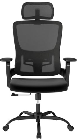 Aevoriax N58 Ergonomischer Bürostuhl, Netzschreibtischstuhl, Computerstuhl und Home-Office-Stuhl mit Verstellbarer Kopfstütze, Lendenwirbelstütze und weichem Schwamm-Sitzpolster (Schwarz)