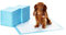 Amazon Basics Strapazierfähige Trainingspads für Hunde und Welpen, auslaufsicheres Design mit schnell trocknender Oberfläche, 50 stück (1 erPack), Blau/Weiß