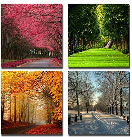 Ywsen Wandkunst Vier Jahreszeiten Baum Bild Kunst malerei auf leinwand 4 Panel malerei für zuhause Schlafzimmer büro Dekoration, kein Rahmen, 40x40cmx4