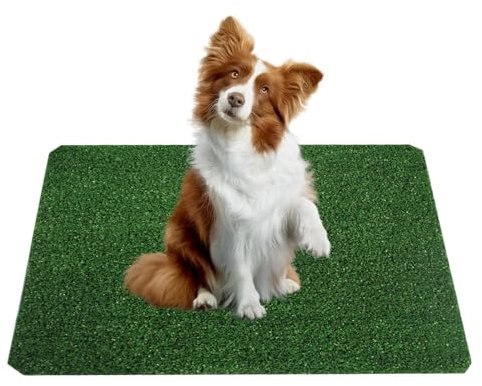 Grass Pad - Strong Absorbency Rug, Outdoor Carpet, Artificial Grass Realistic, Real Grass for Pets Potty Training | Natural Looking Fake Lawn Astro Turf, Dog Grass Large Patch Potty for Dogs