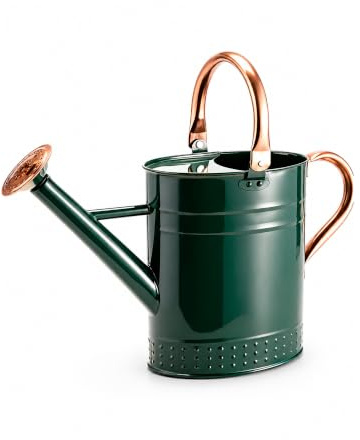 Bamworld Annaffiatoio per Piante da Interno da 3.8 Litri in Acciaio Inossidabile con Becco Lungo per Annaffiatura Giardino Piante da Interno ed Esterno (Verde)