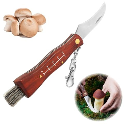 YINZZTRY Holzgriff Pilzmesser, Schwammerlmesser für Pilzsammler, Pilzmesser mit Bürste und Skala, Schwammerlmesser mit Pinsel, Klappmesser mit Schlüsselanhänger, Geschenke für Pilzsammler