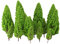 rockible 20pcs Shaped Trees Modellbahn Landschaft Landschaft 1: 50 400 Grün, Hellgrün