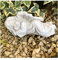 Radami Engel Grabengel Schutzengel liegend Grabschmuck Grabdeko ca.650g