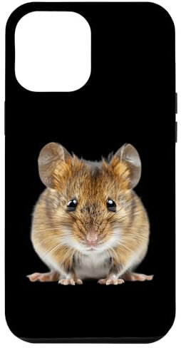 iPhone 13 Pro Max Mouse Case