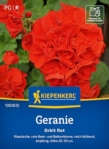 Kiepenkerl Geraniensamen Orbit Rot 1061610 - Beet- und Balkonblume - Höhe 20-30 cm - Inhalt für 10 Pflanzen - Blumensamen, Pflanzen, Blumenwiese, Saatgut