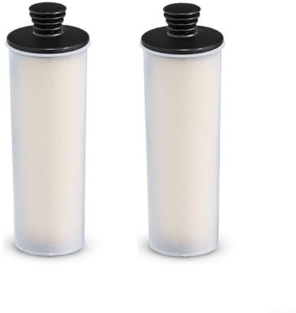 Hasaller Lot de 2 cartouches de détartrage pour nettoyeur à vapeur, cartouche de filtre de détartrage pour nettoyeur à vapeur Karcher SC3 SC2 SC2 Premium SC2 vertical SC3 Standard