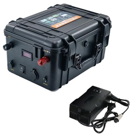 HSSYTZOUL 12V 24V Batterie Au Lithium Propulsion Batterie Au Lithium 100Ah-200Ah Built-in BMS pour Bateau Électrique Moteur Bateau De Pêche Hélice Marine Propulsion Batterie avec Chargeur,24v,100AH