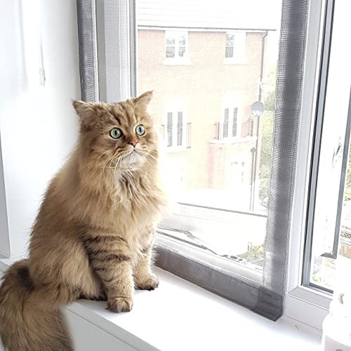 Flat Cats Window Screens - Four Pack - Selection of Sizes/Colours (60cm x 115cm, Grey Mesh/White Fixings)