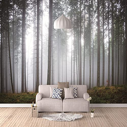 Fototapeten Nebelwald 300x210cm Vlies Tapeten Wandtapete Fototapeten Moderne Wanddeko Design Wand Dekoration Wohnzimmer Schlafzimmer Büro