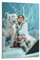 diDIdo Karol-G-Carolina-Giraldo-Navarro (21) Poster für Wandposter für Zimmer, ästhetische Raumdekoration, Teenagerzimmer-Dekor für Mädchen, Wanddekoration, 20 x 30 cm