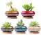 LAMDAWN Set di 5 graziosi vasi da giardino in ceramica per piante grasse, con drenaggio e sottovaso, piante non incluse (bruciatore)
