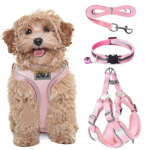 FINEASY Hundegeschirr mit Leine, Reflektierend, Hundegeschirr Kleine Hunde, Sicherheitsgeschirr Hund Ausbruchsicher, Brustgeschirr Hund, Geschirr für Haustiere, Katzen, Klein, Welpen (Rosa, S)