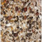 AVIAN SPECIFIC AS20 Low Sunflower Parrot Seed - 15kg