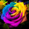 300+ Stück Seltene Bunt Regenbogen Rosen Samen Zum Einpflanzen Schöne Rose Topfpflanze für Haus Garten