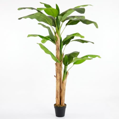 BONERVA | Platanera Artificial Nature 180 cm Altura | Planta Artificial Grande con Tronco Natural y Corteza de Platanera | Ideal para Decorar Interiores: hogares, Negocios y hoteles