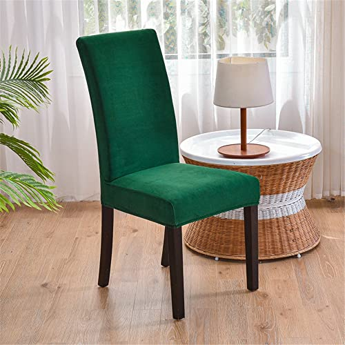 Morbuy Einfarbig Stuhlhussen Set Stretch Stuhlbezug für Esszimmerstühle, Samt Velvet Waschbarer Stuhlhussen Schwingstühle Stuhlüberzug für Haus Hotel Hochzeit Partys (4er Set,Dunkelgrün)