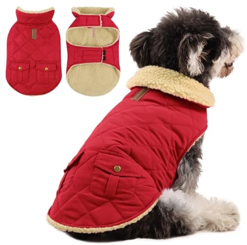 Queenmore Hundemantel Winter Kleine Hunde Warme Wintermantel Hund Fleece Hundejacke Wasserdicht Quilten Hundebekleidung Hundepullover Für Dackel Chihuahua Pudel Französische Bulldogge Beagle, Rot, S