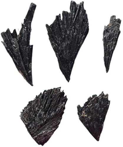 Cianita Negra Escoba de Bruja en Bruto 100g Hojas Piedra de Protección Conexión a Tierra Energía Mineral Kyanos