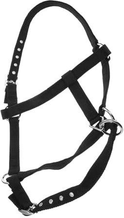 BESPORTBLE Pferdeausrüstung – Training Leine Nylon-abreißleine Bequemes Gepolstertes Design Für Pferde Und Ziegen