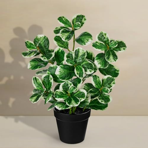 Nature Crafted 17 Artificial Rubber Plant in Black Pot, Faux Ficus Plant Potted with Cream White Edge Foliages, Fake Greenery Plant for Home Office Tropical Decor