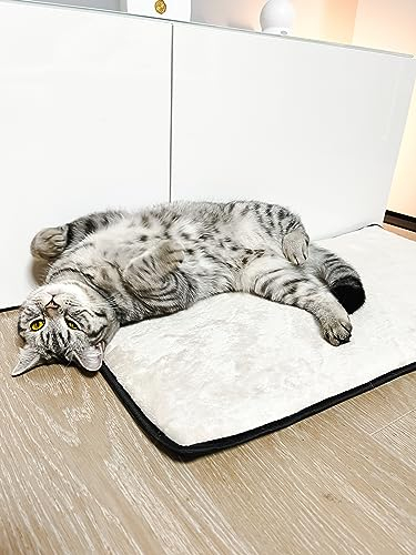 Lebon - Samy - 2 STÜCK - Fensterkissen - Fensterbankkissen - Regalkissen - Fensterliegekissen - Perfekte Maße für viele Tiefe Fensterbänke/Regale - 77x39 - Liegekissen- Kissen Katzenbett