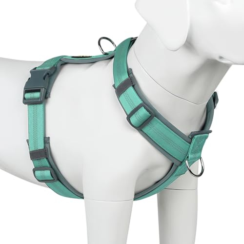 Plutus Pet Hundegeschirr, Verstellbares Nylon-Geschirr mit weicher Polsterung, reflektierend und strapazierfähig Hundegeschirr für kleine, mittelgroße und große Hunde(Blaugrün, S)