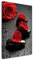 DECLINA, Tableau décoratif, Toile Murale, Tableau Salon Deco, Galet et Rose Rouge 50x30 cm Rouge