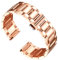 BINLUN Bracelet de Montre en Acier Inoxydable Épais Bracelets de Montre en Métal Lourd Fini Brossé Mat Poli Bracelet Montre de Remplacement pour Hommes Femmes (Or Rose Poli,18mm)