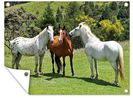 MuchoWow Outdoor-Poster Poster Wanddeko draußen Deko Garten Gartenposter 80x60 cm Pferde - Baum - Schatten