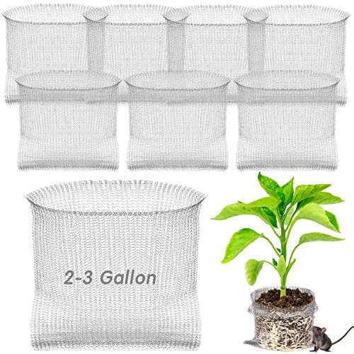 SEEWEY 8 Stück 3 Gallonen Wühlmaus- und Gopher-Körbe Frühlingspflanzen-Wurzelschutzkörbe Edelstahl Wurzelkorb Pflanzendrahtkörbe Speed Gopher Käfige für Frühlingspflanzen Beeren Gemüse Schutz