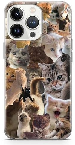 Lustige Katze iPhone Handyhülle Niedliches Kitty Haustier, Entzückendes Katzenkunstgeschenk – Urkomische Tier Meme Art Handyhülle (Design 1; iPhone 11 Pro)