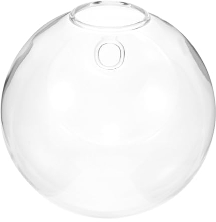 BESPORTBLE Blumenvase Zur Wandmontage Abgeflachte Blumenvase Wandvase Hängender Wandpflanzer Wandausbreitungsstation Hängende Hydroponische Vase Klare Blumenvase Pflanzenwand Glas Empfindlich