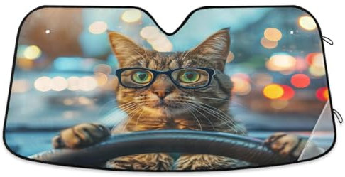 Parasol para ventanas delanteras de coche, diseño de gato divertido con gafas, plegable, parasol reflectante para coche, camión, SUV, 55 x 27.6 pulgadas