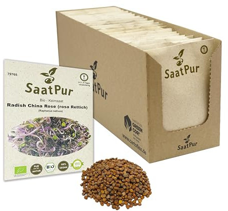 SaatPur Bio Keimsprossen - Radish China Rose Rettich - Sprossen/Microgreens - Großes Tray mit 50 Portionstüten je 50g