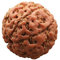 Lllunimon Nepal Vajra Bodhi Armband Rudraksha mit Sieben Blütenblättern, original Samen rote Haut, für Männer Frauen Sammlung Geschenke,26~28mm 9 pcs