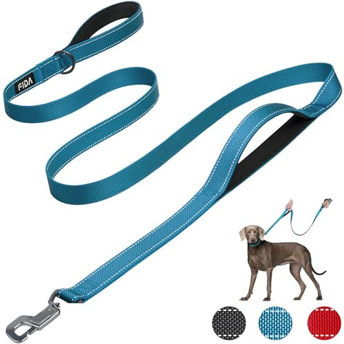 Fida Heavy Duty Hundeleine für mittlere/große Hunde, 1.8M / 6FT Double Handle Hundeleine für mehr Kontrolle, reflektierende Hundeleinen für tägliche Spaziergänge & Training (Blau)