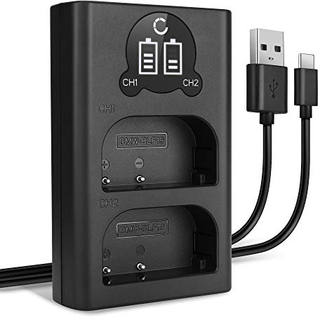 CELLONIC Chargeur Double DMW-BLF19 DMW-BLF19E DMW-BLF19PP Smart et Rapide Compatible avec Alimentation Dual DMW-BTC10 + Câble USB de Charge