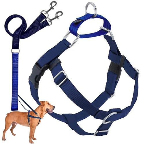 2 Hounds Design Freedom No-Pull Dog Harness with Leash, Medium, 1-Inch Wide, Navy
